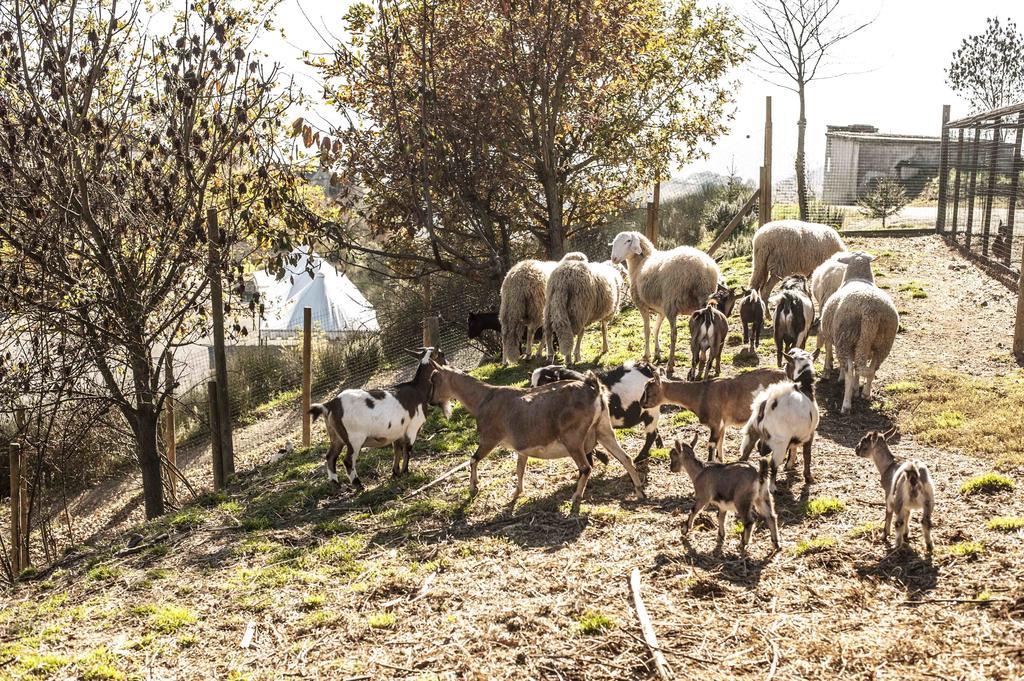 Azienda Agrituristica Alcastle Montabone 외부 사진