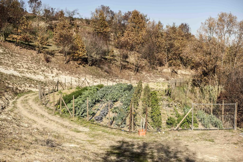 Azienda Agrituristica Alcastle Montabone 외부 사진
